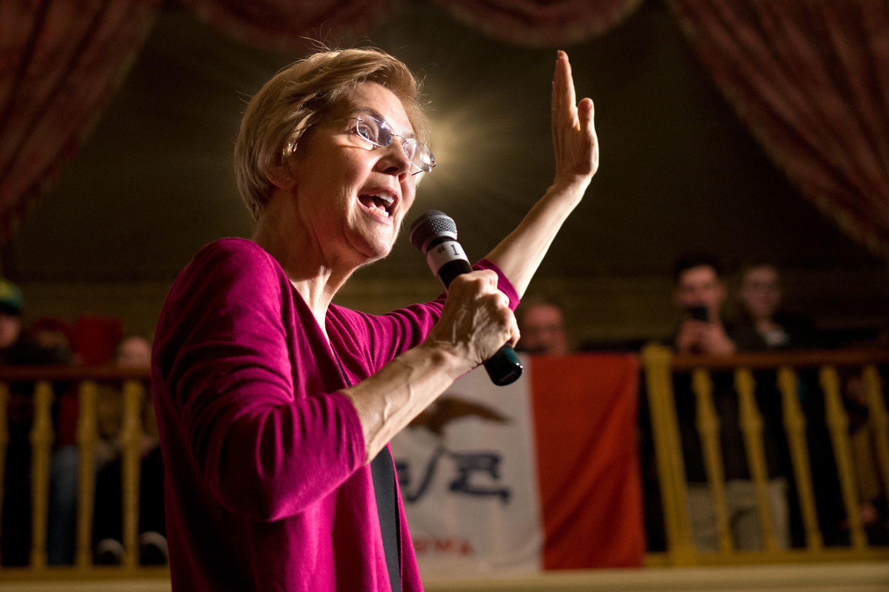 DEM Elizabeth Warren